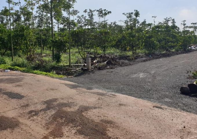 Bán lô đất rẫy 2 mặt tiền đường bê tông tại ấp 8 Xuân Tây, Cẩm Mỹ Đồng Nai