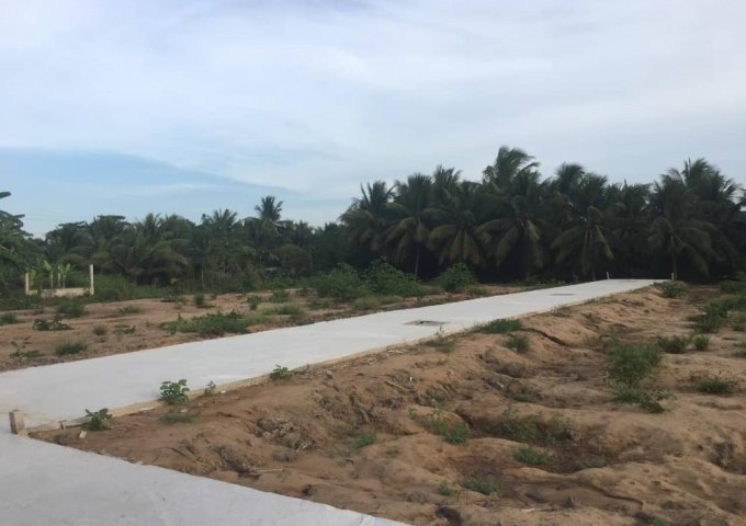 Bán đất nền dự án tại Đường Trần Thị Thơm, Mỹ Tho,  Tiền Giang diện tích 95m2  giá 400 Triệu
