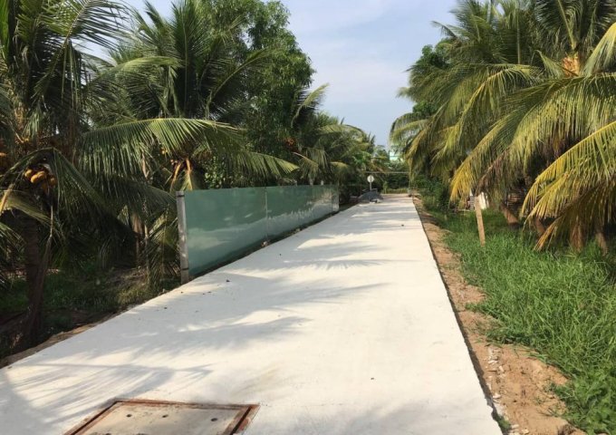 Bán đất nền dự án tại Đường Trần Thị Thơm, phường 9