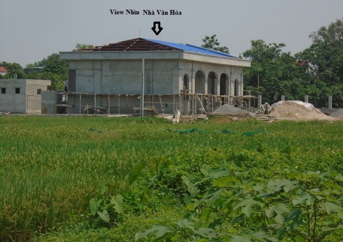 Bán gấp đất lô góc hai mặt tiền tại khu đấu giá thôn sinh quả xã bình minh huyện Thanh Oai Hà Nội