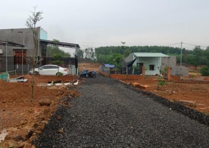 Bán đất tại Đường 767, Trảng Bom, Đồng Nai diện tích 100m2 giá 180 Triệu