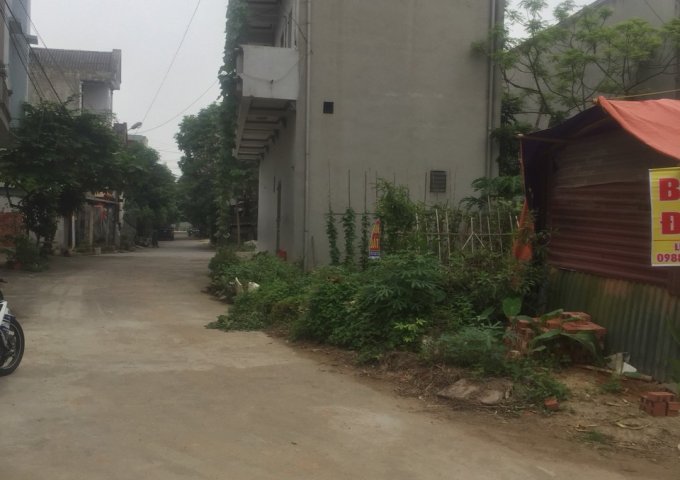 Bán 2 lô liền kề P.Nông Trang, Việt Trì, khu 1B đồi Mẻ Quàng,15tr/m2
