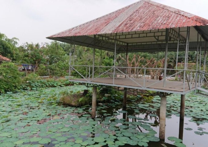 Cho thuê 0,5 hecta (5000m2) đất sân vườn đã có cơ sở hạ tầng hoàn chỉnh giữa trung tâm TP. Tây Ninh 