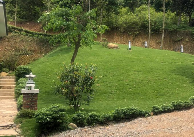 Bán Suất ngoại giao căn 108 hasu village Hòa Bình LH: 0905430369