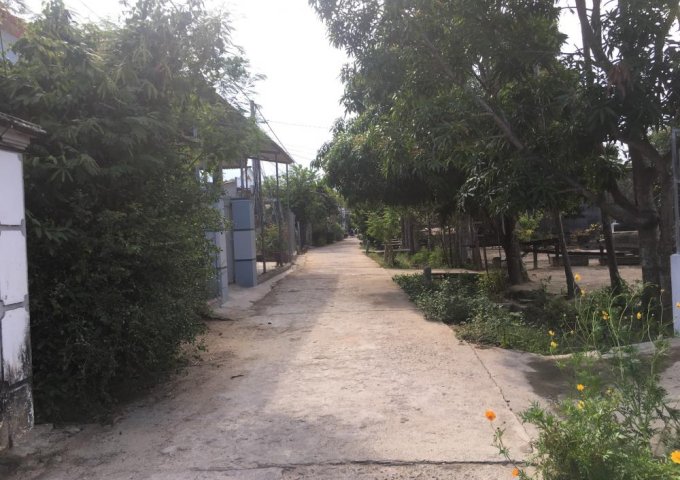 Bán đất tại Xã Diên Toàn, Khánh Hòa DT 143m2  giá 7 Triệu/m², gần UBND 