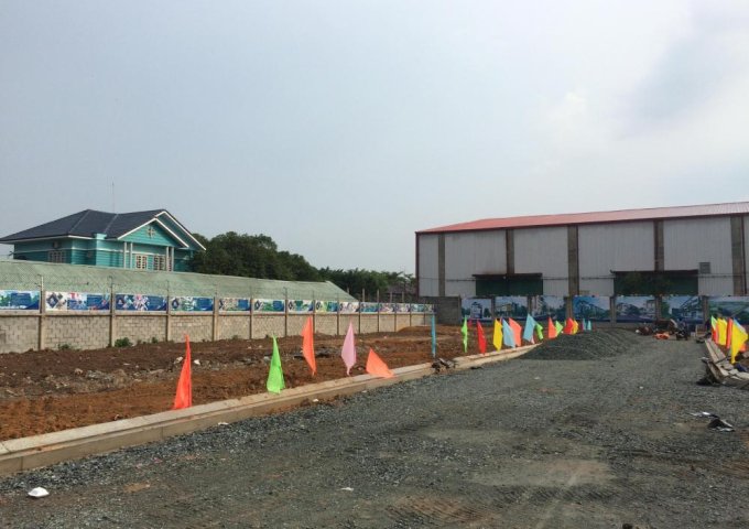 Bán đất nền dự án tại Đường ĐT 743, Thuận An,  Bình Dương 