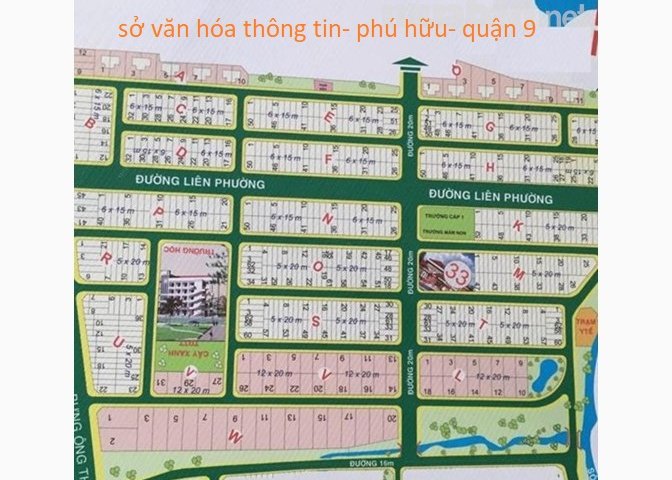 Chính chủ bán gấp lô đất nền dự án khu dân cư Sở Văn Hóa Thông Tin, P. Phú Hữu, Q9