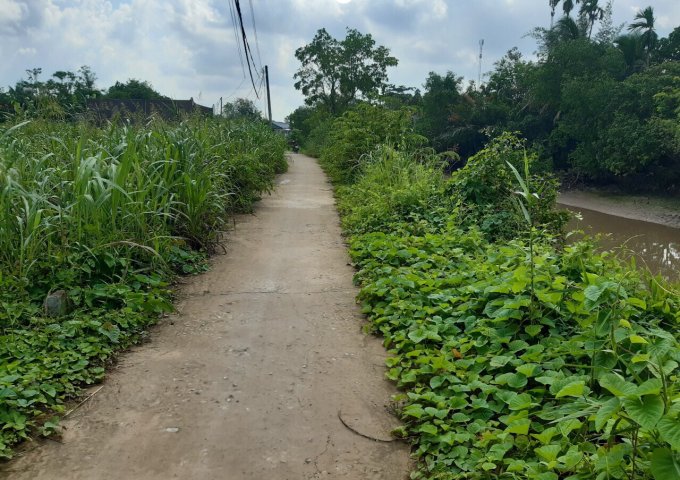 Bán nền giá rẻ gần cầu Ông Tim đường Trương Vĩnh Nguyên quận Cái Răng