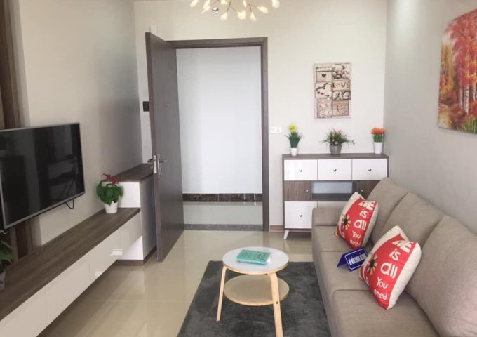 Bán căn hộ chung cư tại Dự án Xuân Mai Tower, Thanh Hóa,  Thanh Hóa diện tích 42m2  giá 600 Triệu