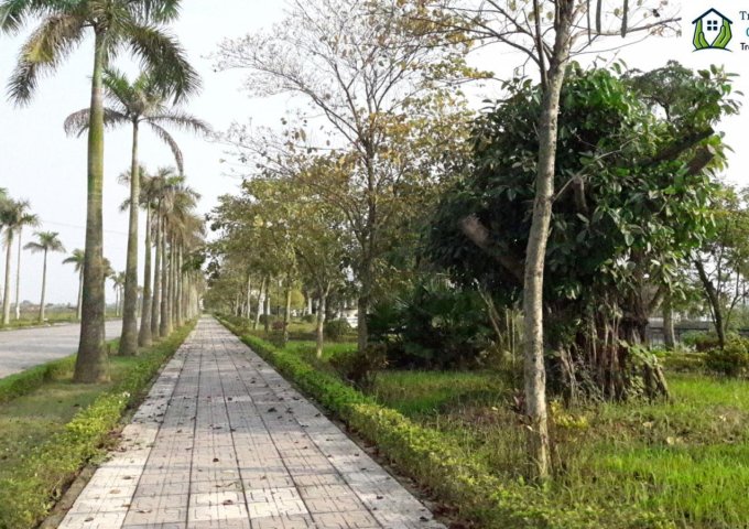 Sức hút của biệt thự Vườn Cam Vinapol-Orange Garden