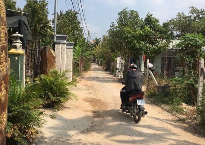 Bán gấp miếng đất gần chợ Phú Văn – Phú Thọ - Thủ Dầu Một – Bình Dương, gần chợ, diện tích vuông, có sân vườn.