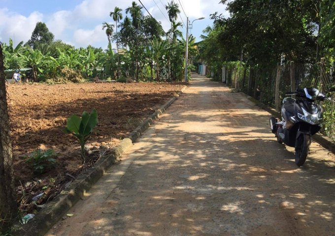 Bán gấp miếng đất gần chợ Phú Văn – Phú Thọ - Thủ Dầu Một – Bình Dương, gần chợ, diện tích vuông, có sân vườn.