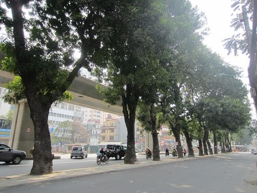 Bán đất tặng nhà cấp 4, 50m2, Nguyễn Trãi, Thanh Xuân, ngõ ôtô, giá 3.9 tỷ