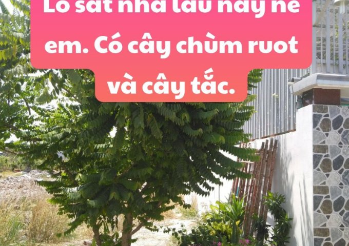  Bán đất Phú Lợi – Huỳnh Văn Lũy – Thủ Dầu Một – Bình Dương, đường xe hơi, nhà đẹp, giá rẻ. 