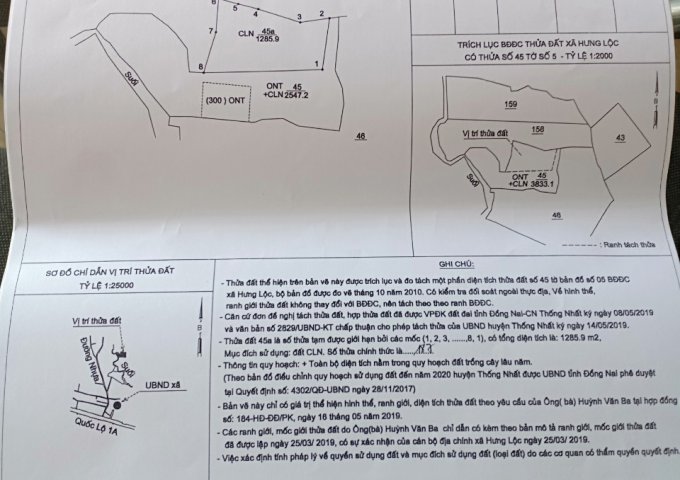 ấp Hưng Nghĩa xã Hưng Lộc huyện Thống Nhất tỉnh Đồng Nai. TÔI BÁN ĐẤT