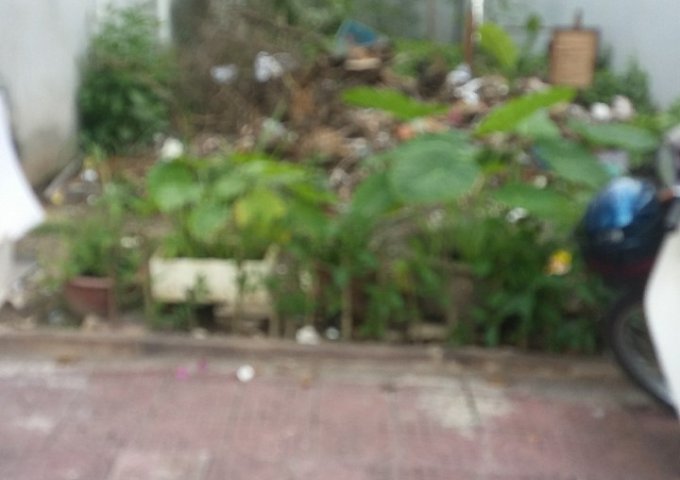 Bán đất sổ hồng dt 5x18m hẻm Đặng Đức Thuật, trường Trấn Biên, Tam Hiệp, Biên Hòa