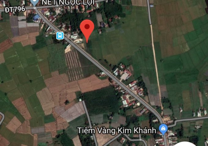 Bán đất đầu tư, đất mặt tiền TL786, Long Vĩnh, Châu Thành, Tây Ninh.