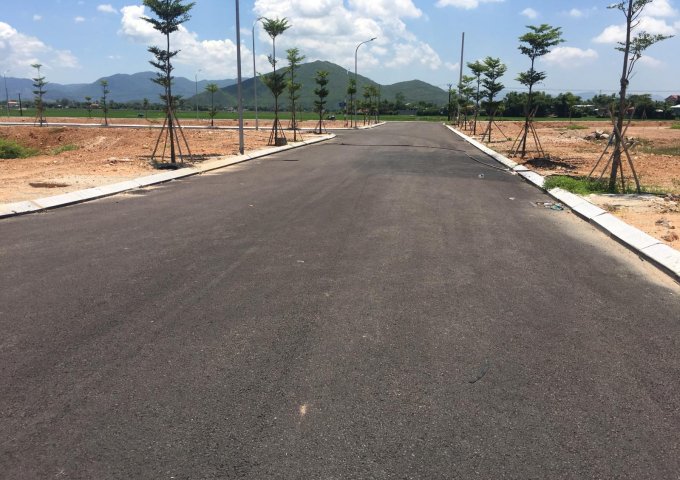 Bán đất nền dự án tại Dự án An Nhơn Green Park, An Nhơn,  Bình Định diện tích 100m2  giá 680 Triệu
