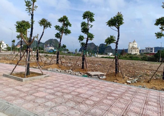 Bán đất nền Tp Cẩm Phả, gần biển, cạnh Vincom, giá chỉ từ 27 triệu/m2