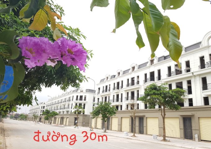 Cơ hội đầu tư và sở hữu dự án Shophouse, Thuận An Central Lake.