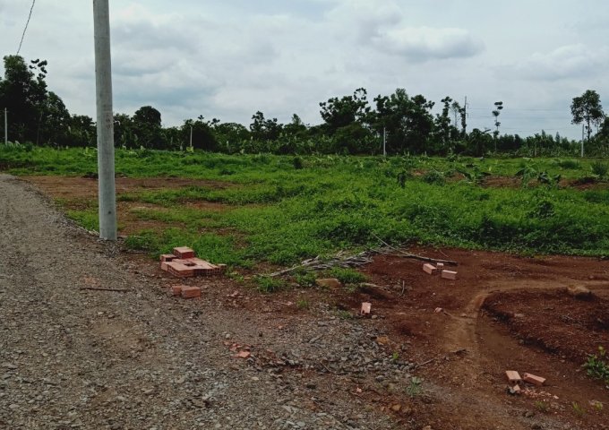 Đất sào thổ cư cách QL1A 500m,sau UBND xã Hưng Lộc