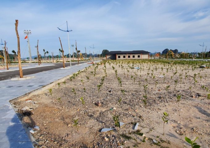 Bán đất dự án Phương Đông Vân Đồn Quảng Ninh  kí hiệu LK44-06 140,8m2 giá 5,2 tỷ , Lh 0899959995