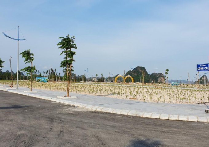 Bán đất dự án Phương Đông Vân Đồn Quảng Ninh LK41-41,42 diện tích 87,5m2 giá 2,7 tỷ