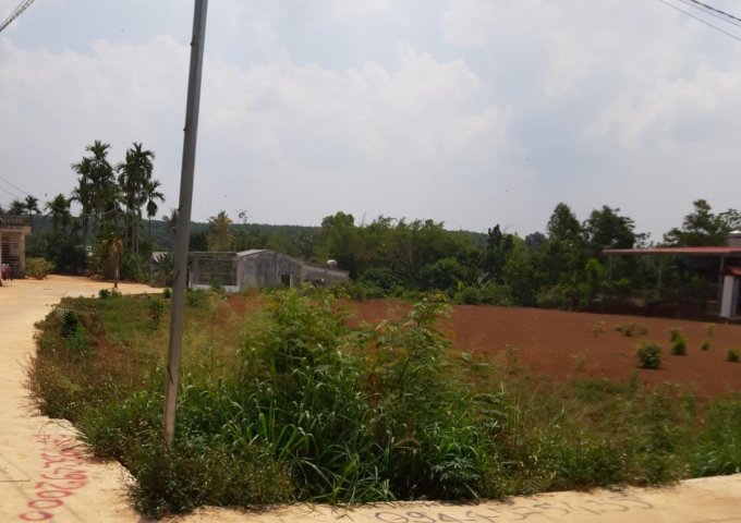 Bán đất 2 mặt tiền Tân Hòa khu vực Nguyễn Sinh Sắc, giá rẻ: 650tr