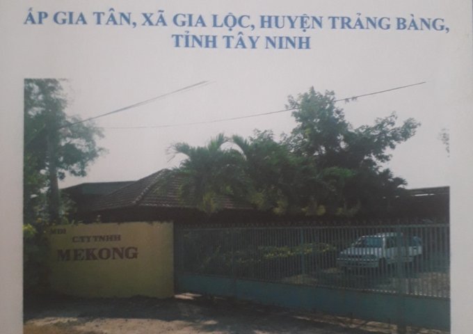 Bán  nhà xưởng  tại xã Gia Lộc, huyện Trảng Bảng - Tây Ninh