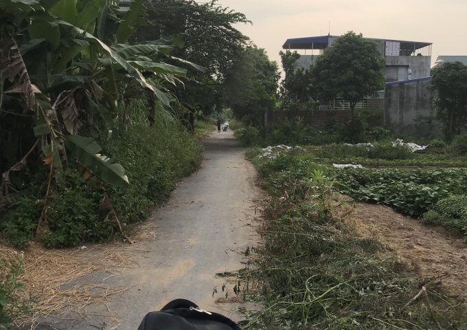 Bán lô đất 100m2 tại khu phân lô Vân Tra, An Đồng, An Dương, Hải Phòng