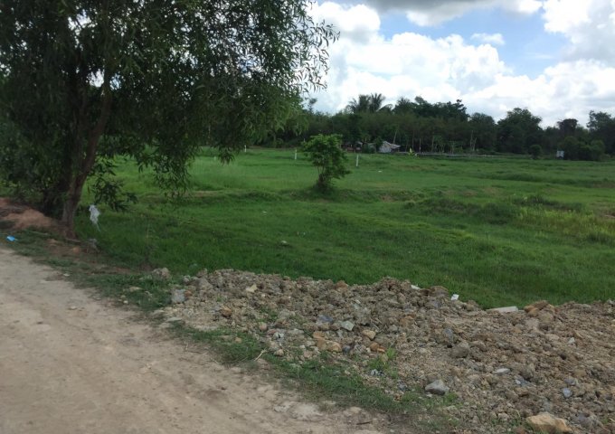Gia Đình Cần bán gấp miếng đất thổ vườn ở Xã Thái Mỹ Huyện Củ chi với giá 1,6tr/m2