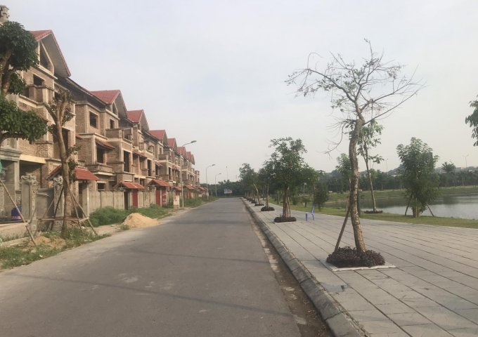 Bán lô đất liền kề - Khu Đại Dương ( đường Thanh Niên ), Thành phố Bắc Ninh