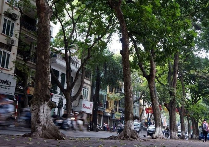 Cho thuê nhà mặt phố Vũ Tông Phan 480m2, mặt tiền 7m