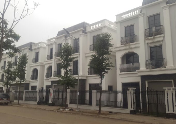 Bán  biệt thự song lập TT2 KĐT mới Đại Kim Hacinco.