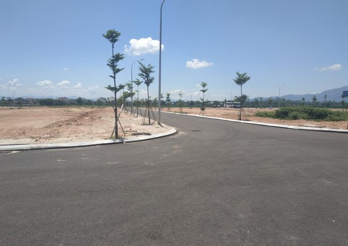 Dự án Quy Nhơn New City Trung tâm Tỉnh Bình Định Tiềm năng phát triển đô thị