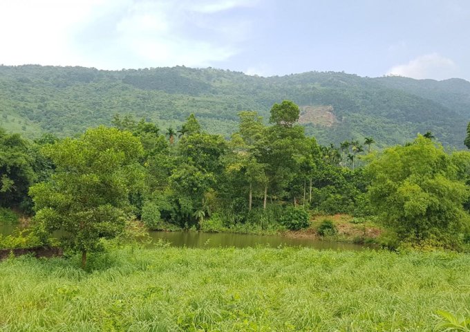 Chính chủ thanh lý gấp 7200m2 đất mặt hồ Đồng Gội, Hòa Sơn, Lương Sơn, Hòa Bình.