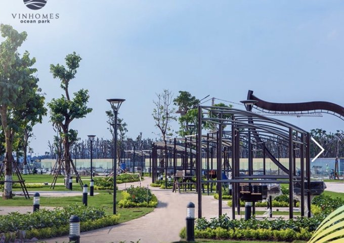 Sở hữu căn hộ đẳng cấp, vô vàn tiện ích với giải pháp tài chính linh hoạt Vinhomes Ocean Park GL