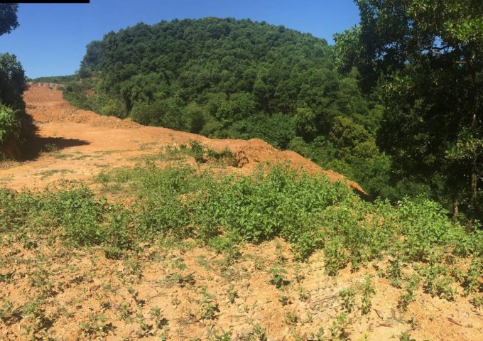 Bán đất thổ cư tại Xã Cư Yên, Lương Sơn, Hòa Bình diện tích 320m2 giá 1.9051 Tỷ