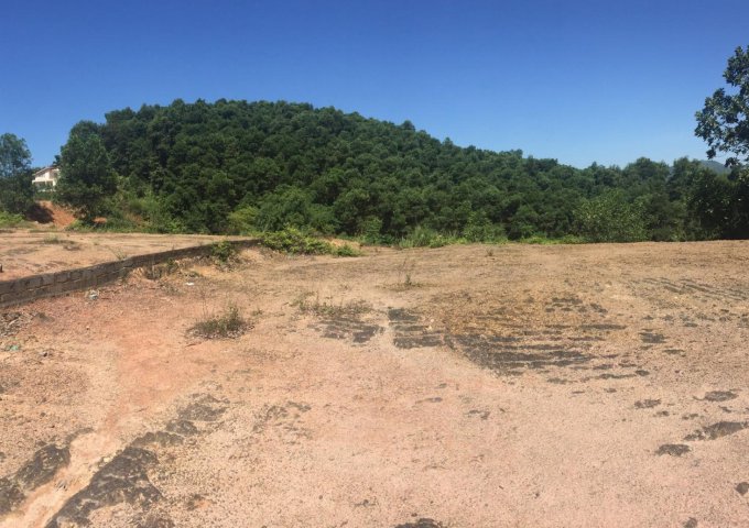 Bán đất tại đỉnh đồi Beverlly, Lương Sơn, Hòa Bình diện tích 312m2 giá 1.9051 Tỷ