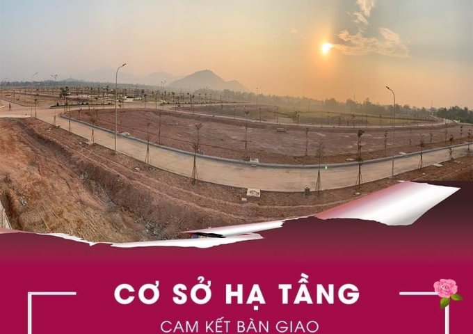 Bán đất nền dự án tại Xã Tam Quan Bắc, Hoài Nhơn,  Bình Định diện tích 125m2  giá 10 Tỷ
