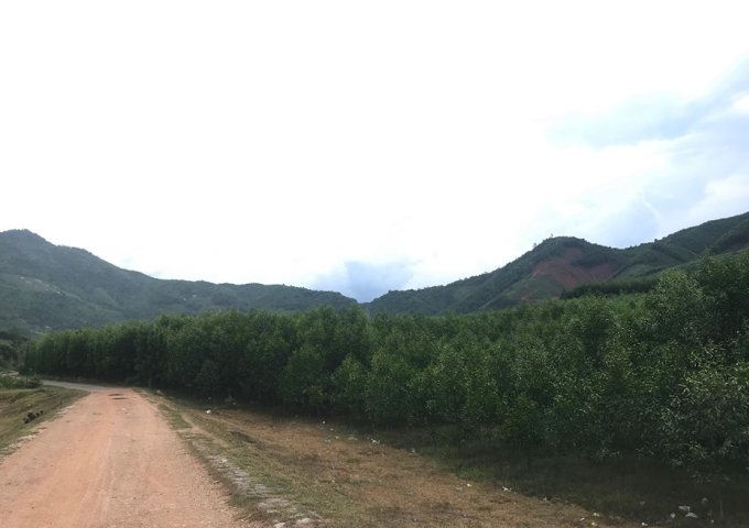 bán đất làm trang trại nhà vườn có view Hồ Cây Sung