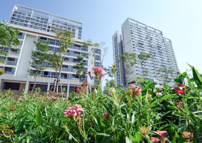 Mở bán tòa D, The Peak - Midtown, KĐT Phú Mỹ Hưng, 1.18 tỷ nhận nhà
