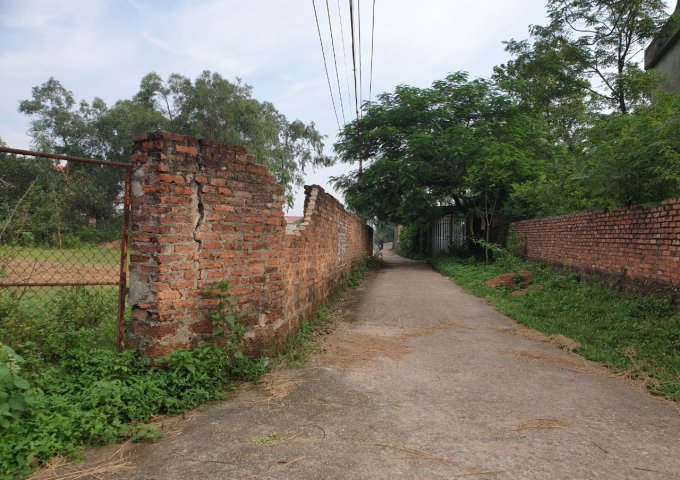Bán đất chính chủ tại Thanh Sơn Minh Phú, Sóc Sơn, Hà Nội diện tích 90m2 giá 290 Triệu