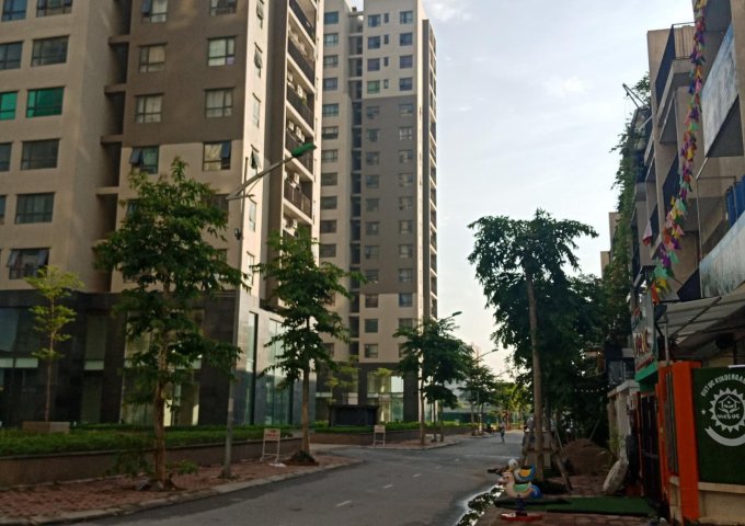 Shophouse view chung cư 2000 hộ, mặt Trần Hữu Dực, 80m2x4T, 8.48 tỷ