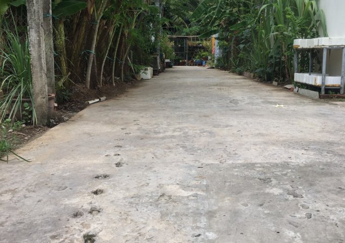Bán đất tại Xã Đạo Thạnh, Mỹ Tho,  Tiền Giang diện tích 100m2