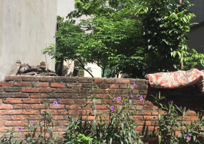Bán đất mặt phố Trần Bình, Mai Dịch, Cầu Giấy kinh doanh sầm uất