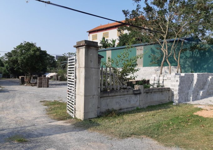 Cho thuê đất làm kho xưởng MT đường TL310, Bình Xuyên, Vĩnh Phúc.