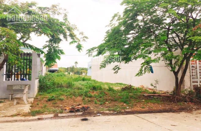 Bán đất Bình Dương, đất nền Bình Dương giá rẻ, chính chủ, vị trí đẹp