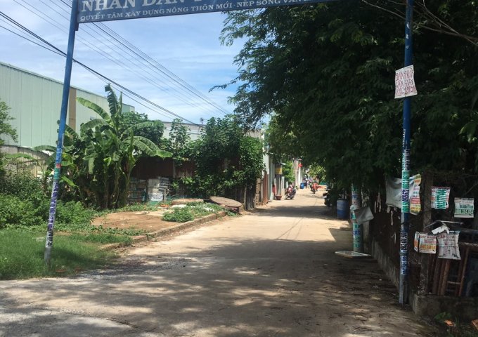Cần bán 2 lô đất view đẹp đường Liên ấp 234, Vĩnh Lộc A, Bình Chánh.