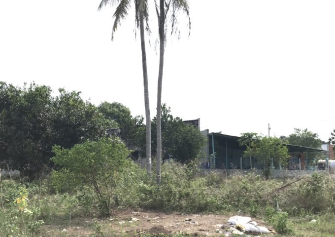 : Bán đất tại Đường Cây Trôm Mỹ Khánh - Huyện Củ Chi 